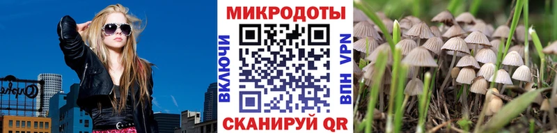 что такое   Пойковский  shop формула  Галлюциногенные грибы Cubensis 